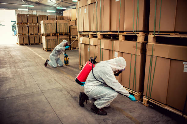 Flea Control Services in Boynton Beach, FL