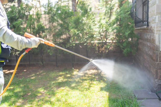 Professional Pest Control in Boynton Beach, FL