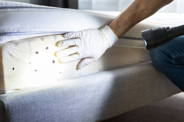 Best Best Pest Control Companies  in Boynton Beach, FL