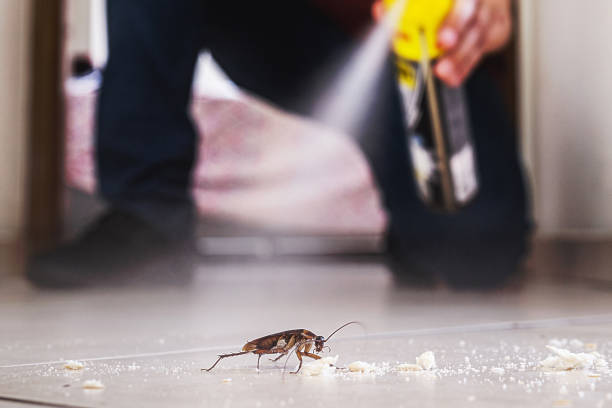 Best Best Pest Control Companies  in Boynton Beach, FL