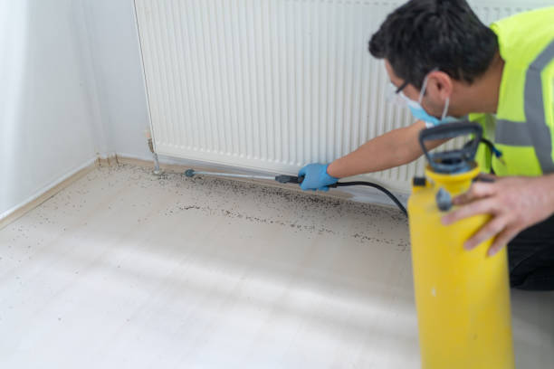 Best Affordable Pest Control Services  in Boynton Beach, FL